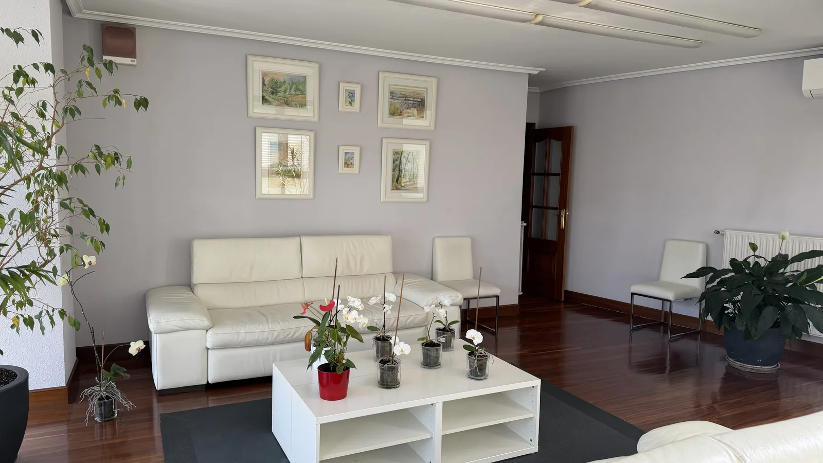 Sala de espera tranquila de la clínica, pensada para que los niños estén cómodos